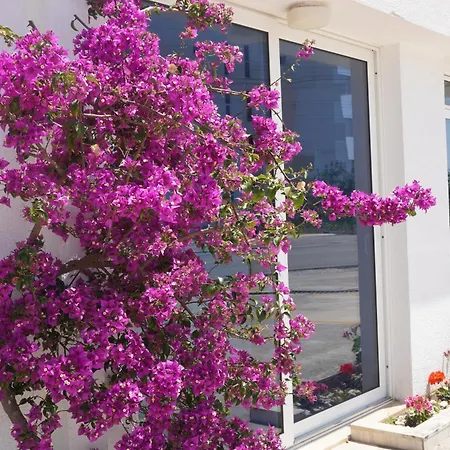 Agel Sarandë